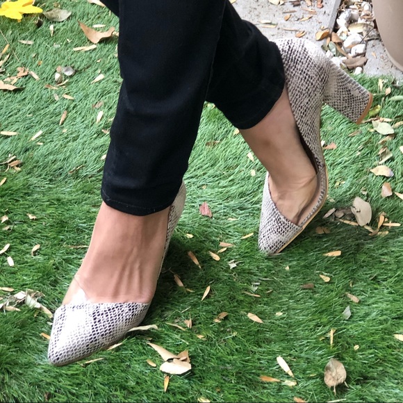 🤍High Quality Snake Print Chunky Heels with… - Picture 4 of 8